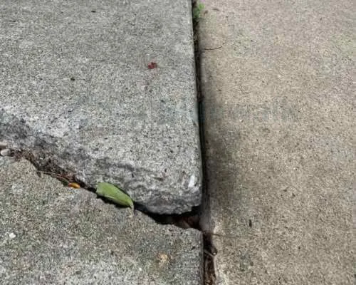 uneven-or-sunken-panels