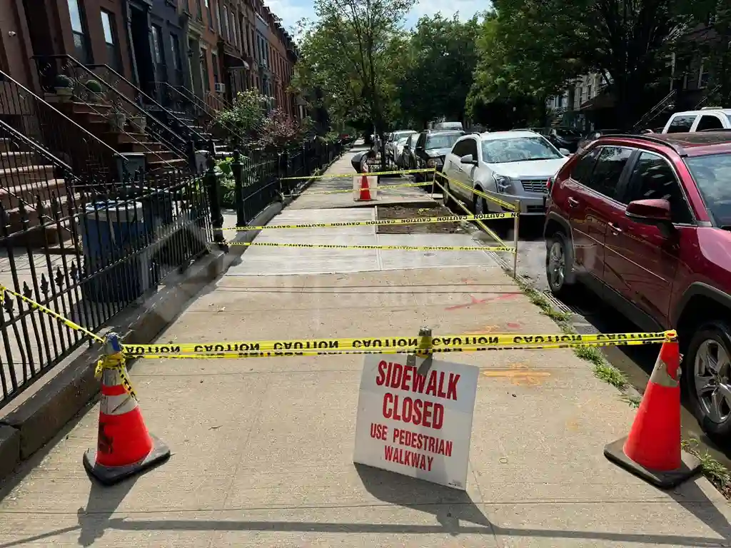 Tree Roots Damaging Sidewalk